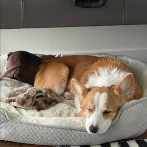 Meet your Posher, Dean